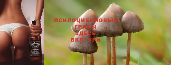 МДПВ Верхнеуральск